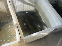 -夏家大锅台炖鱼馆
