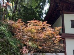 -韬光茶庵