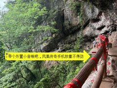 -青城山