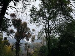 -方岩风景区