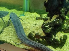 -正佳雨林生态植物园