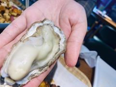 -臻炙大舍烤串(天龙家园店)