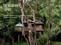-西双版纳原始森林公园