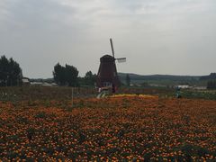 -北纬44度·金珠花海休闲农业旅游景区