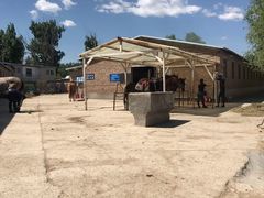 -月河湾马术俱乐部(朝阳店)