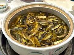 -爱膳菌锅锅(阳南店)