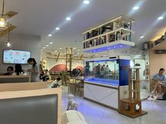 -喵园·猫主题咖啡厅·撸猫·猫咖(国贸店)