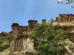 -元谋土林景区(物茂土林)