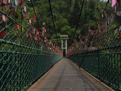 -西双版纳原始森林公园