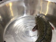 iphone_upload_pic-徽州月·民间徽菜(浦东总店)