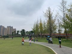 -府河摄影公园