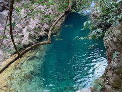 -广州白江湖森林公园