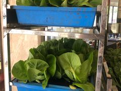 炒青菜-小龙酒家(桂平路店)