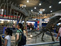 -国家自然博物馆