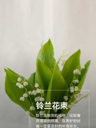 点击看大图 -iSpa