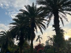 -广州白天鹅宾馆