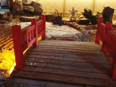 -大江户·温泉洗浴(浑南店)