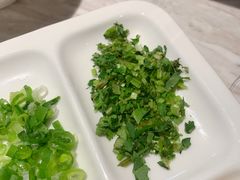 -汤城·料青山