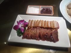 -南枝记