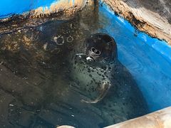 -华夏文旅海洋公园