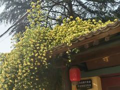 -洨河生态公园