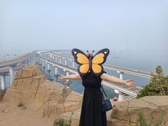 -星海湾跨海大桥
