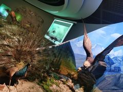 -陕西自然博物馆