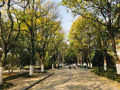 -安徽大学(磬苑校区)