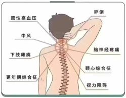 -香薇妮丝·定制减肥·身材管理