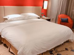 -南京维景国际大酒店(南京博物院店)