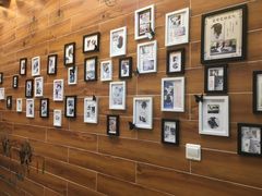 -美联众合宠物医院·爱萌分院·内外科·猫科中心