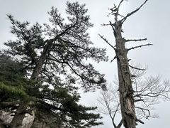 -罗田薄刀峰风景区
