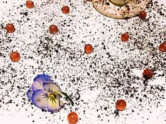 -HIHE Bistro·Oyster Bar(华熙live店)