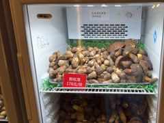 -太婆天府山珍酒楼(亚运村店)