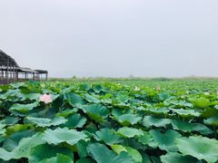 -处女泉风景名胜区