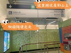 -香港大学