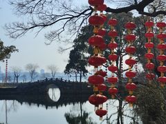 -无锡蠡湖国家湿地公园-蠡园
