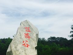 -金石滩蓝莓谷庄园