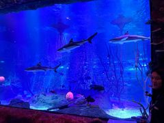 -沈阳海洋探索中心