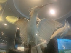 -下渚湖国家湿地公园科普馆