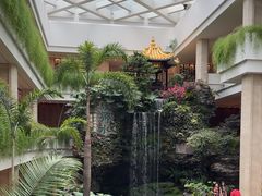 -广州白天鹅宾馆