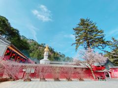 -五台山风景区