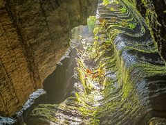 -梭布垭石林景区