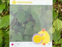 -茶理宜世(东方宝泰店)