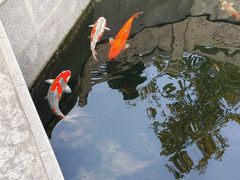 -西安市广仁寺