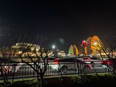 -野狸岛