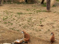 -杭州野生动物世界
