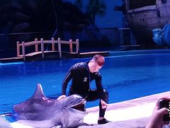 -华夏文旅海洋公园