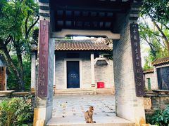 -深圳国际园林花卉博览园