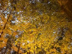 -河南省黄河迎宾馆